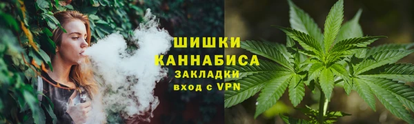 прущие грибы Алексеевка