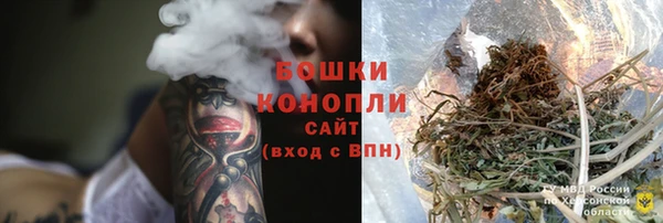прущие грибы Алзамай