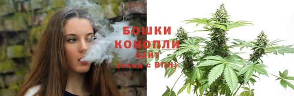 ГАЛЛЮЦИНОГЕННЫЕ ГРИБЫ Краснослободск