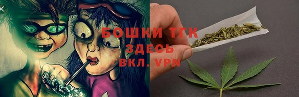 прущие грибы Алзамай
