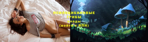 прущие грибы Алексеевка