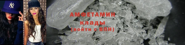 прущие грибы Алексеевка