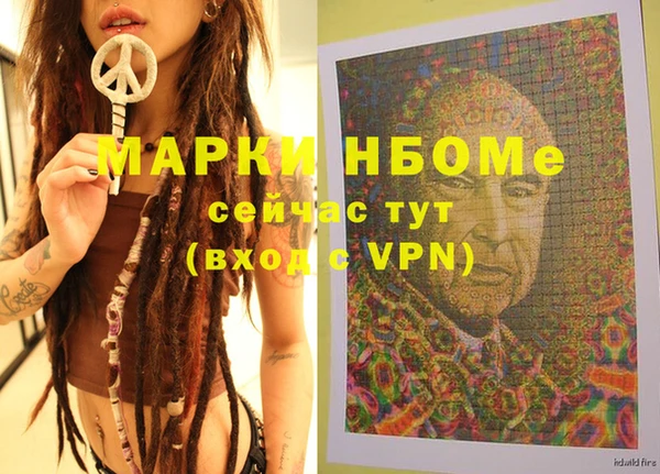 мет Алексин