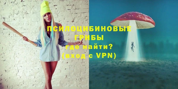 прущие грибы Алзамай