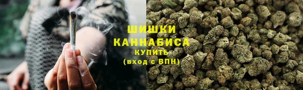 прущие грибы Алзамай