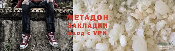 прущие грибы Алексеевка