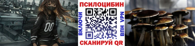Галлюциногенные грибы мицелий  купить наркоту  blacksprut ссылка  Данилов 